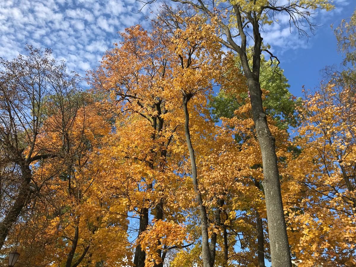 Апартаменты Apartment Viatur Гродно