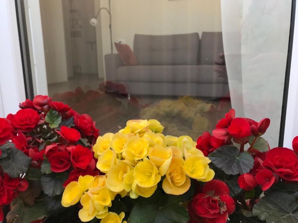 Апартаменты Apartment Viatur Гродно