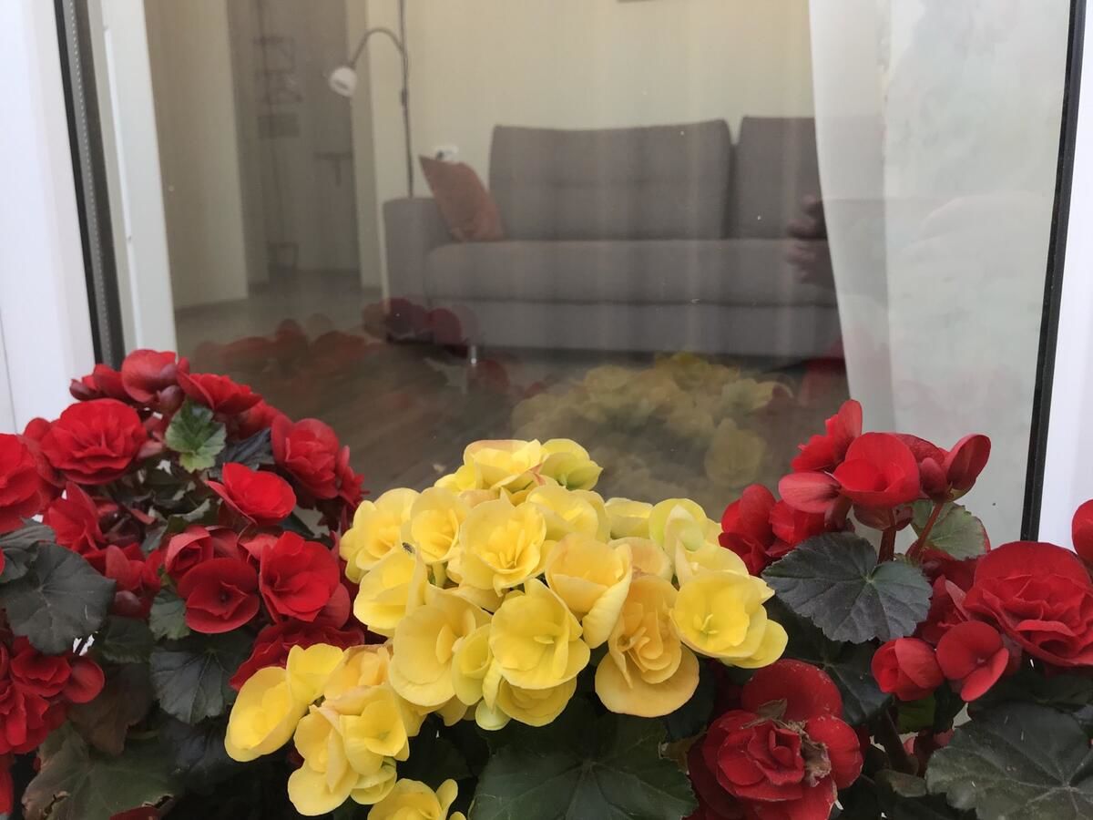 Апартаменты Apartment Viatur Гродно